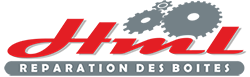 DS-Vitesse Logo